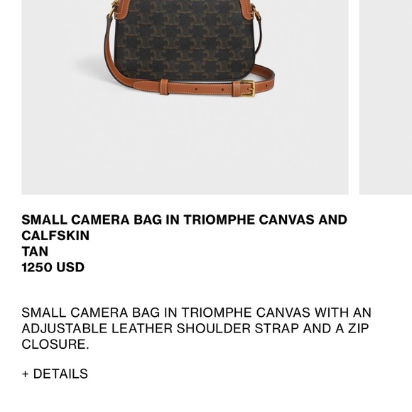 Celine Bags Celine Small Camera Bag In Triomphe Canvas Poshmark